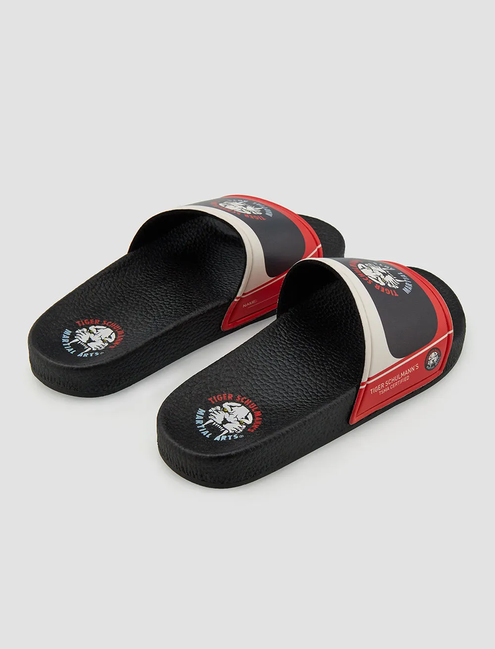 Warrior TSMA Slides