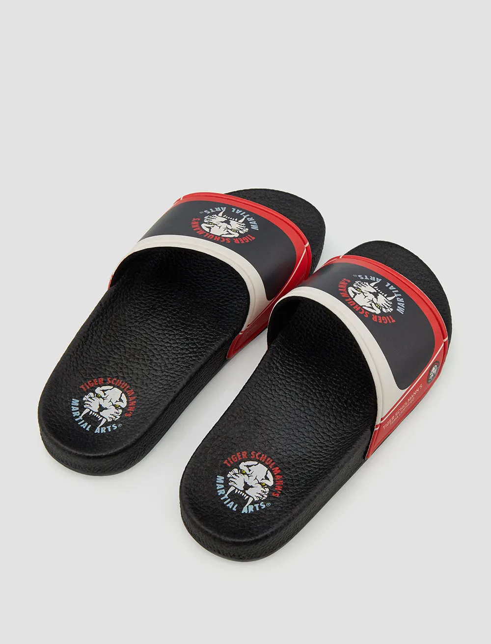 Warrior TSMA Slides